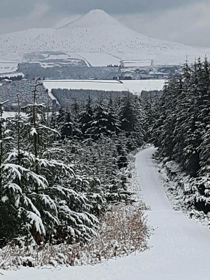 The Enniskerry Inn Екстер'єр фото